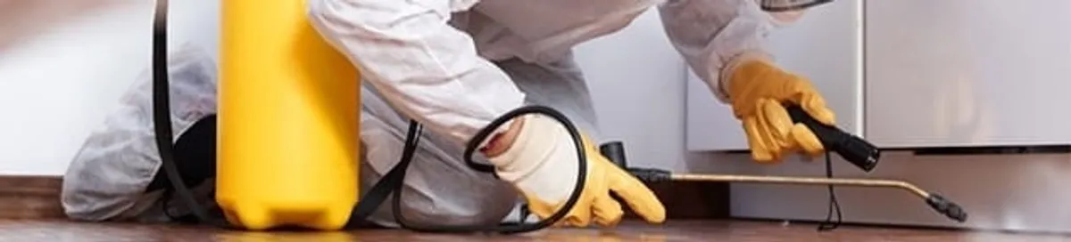 Roach exterminator treating cracks and crevices along kitchen baseboards in Ann Arbor, MI