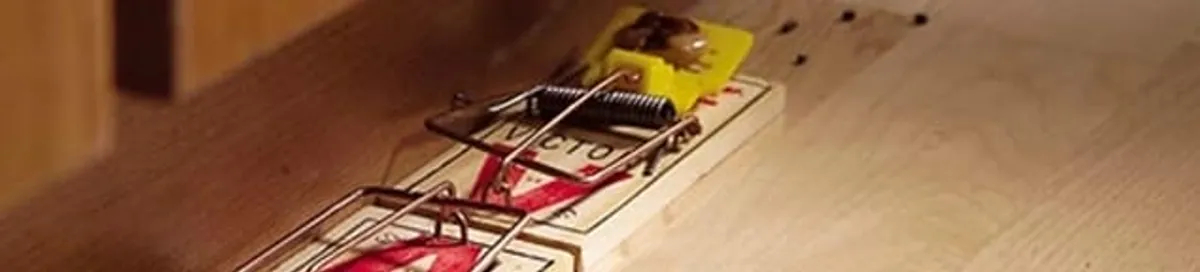 Rodent trap set indoors for rodent control and prevention in Ann Arbor, MI